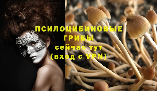 спайс Майский